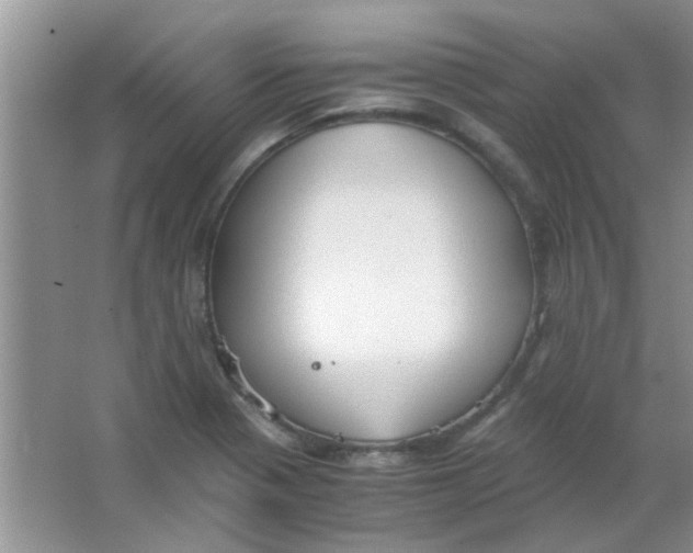 X0000063501321200602101849