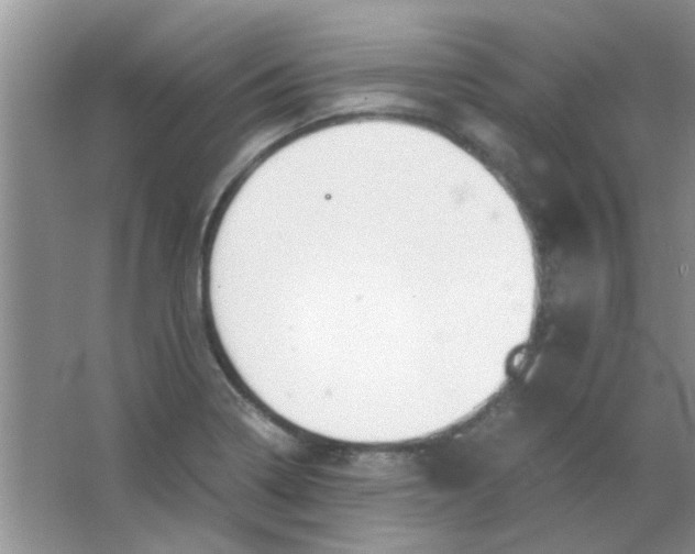 X0000063501322200602101849