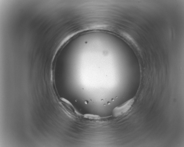 X0000063501324200602101849