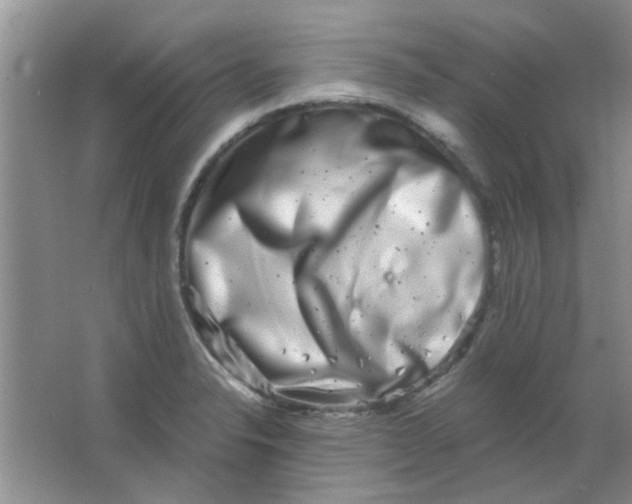 X0000063501326200602101849