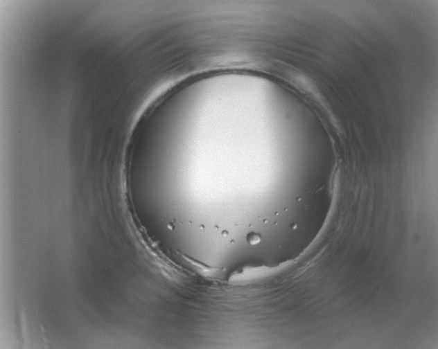 X0000063501328200602101849