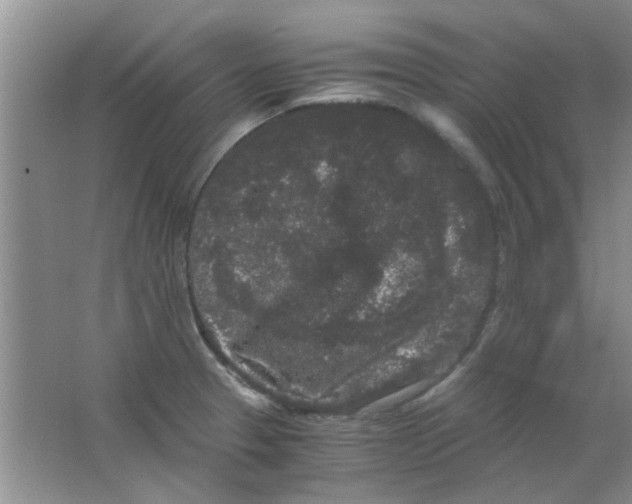 X0000063501329200602101849