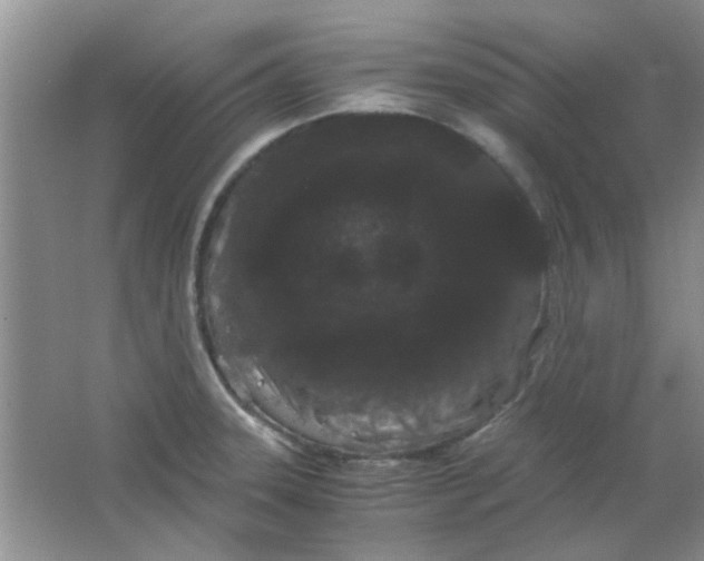 X0000063501331200602101849