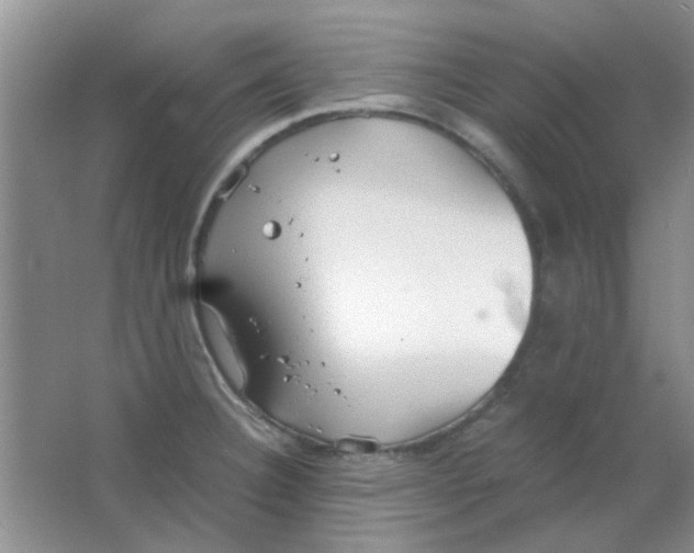 X0000063501332200602101849