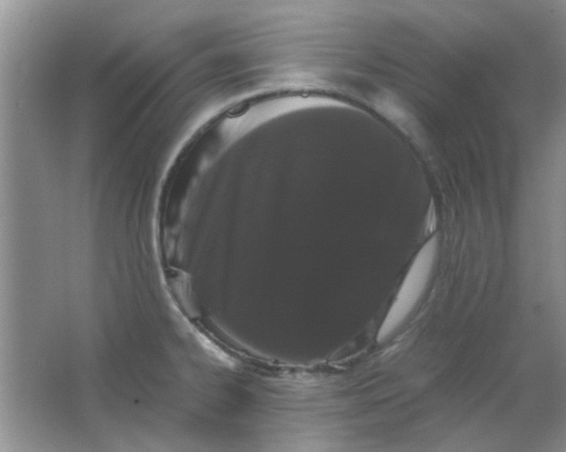 X0000063501334200602101849