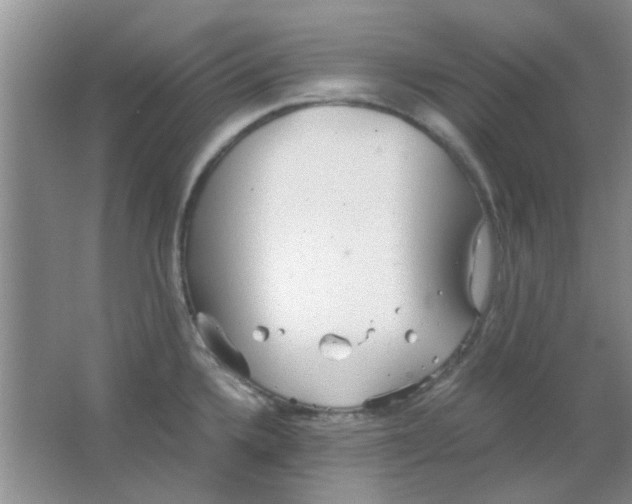 X0000063501336200602101849