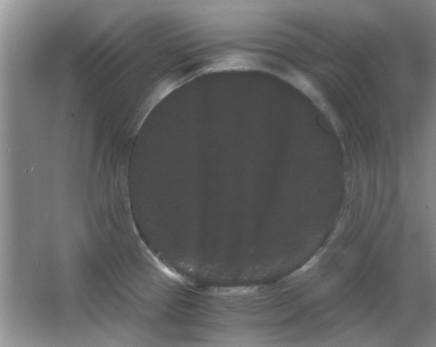 X0000063501337200602101849