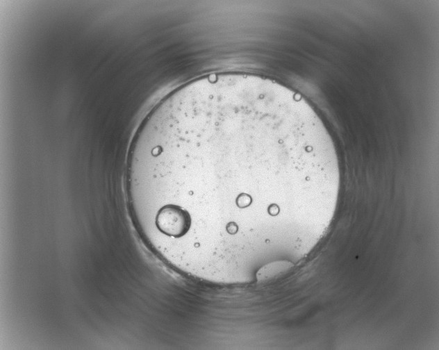 X0000063501338200602101849