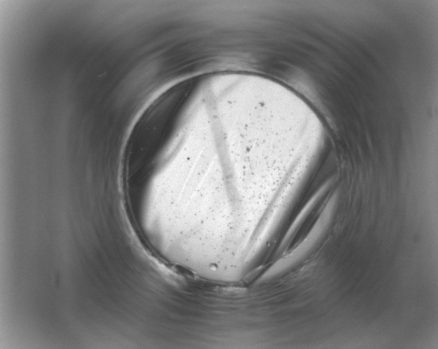 X0000063501339200602101849