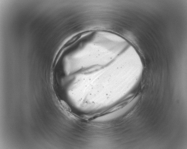 X0000063501340200602101849