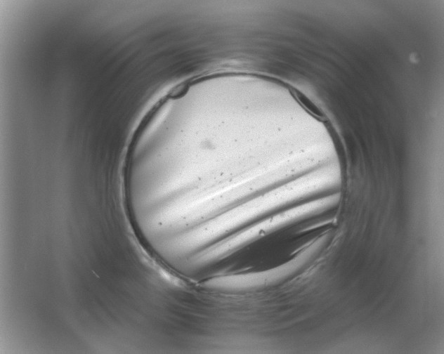 X0000063501341200602101849