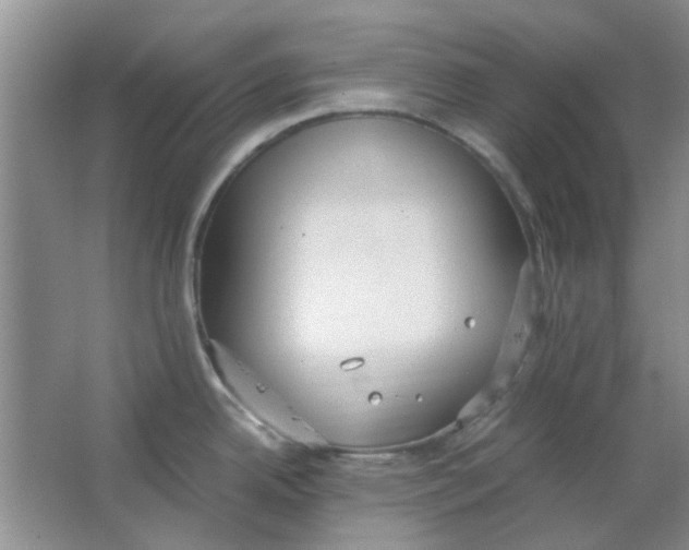 X0000063501342200602101849