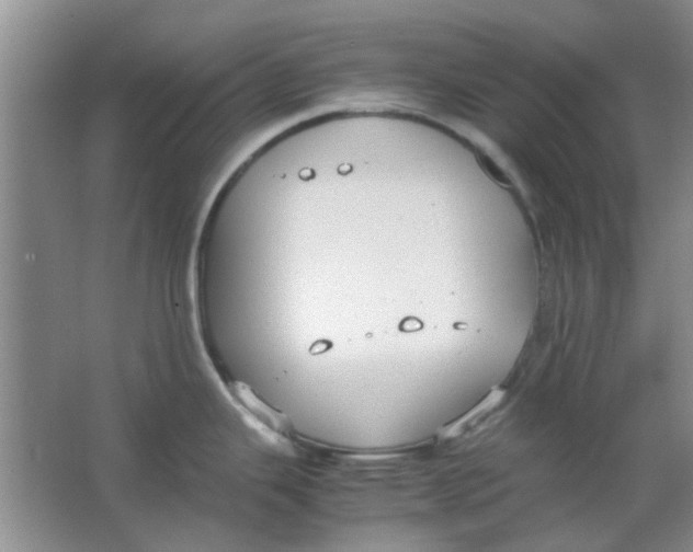 X0000063501343200602101849