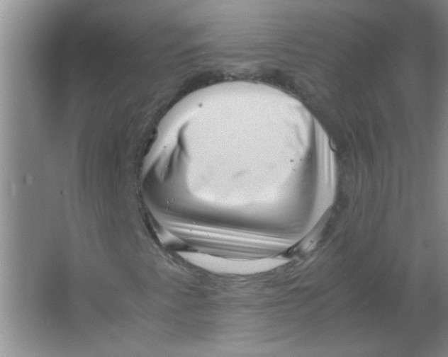 X0000063501345200602101848