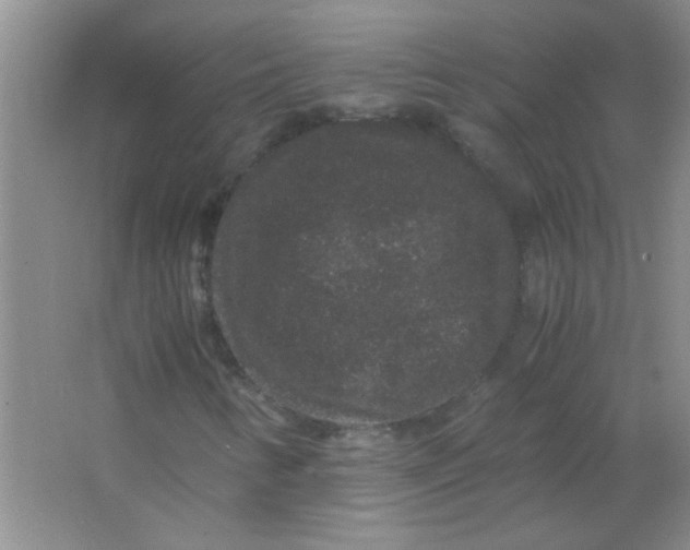 X0000063501346200602101848