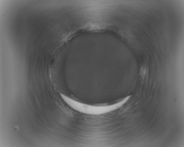 X0000063501348200602101848