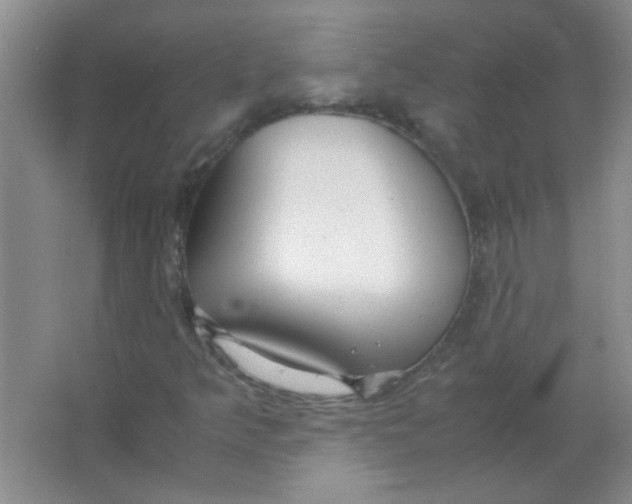 X0000063501349200602101848