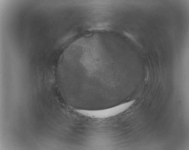 X0000063501350200602101848