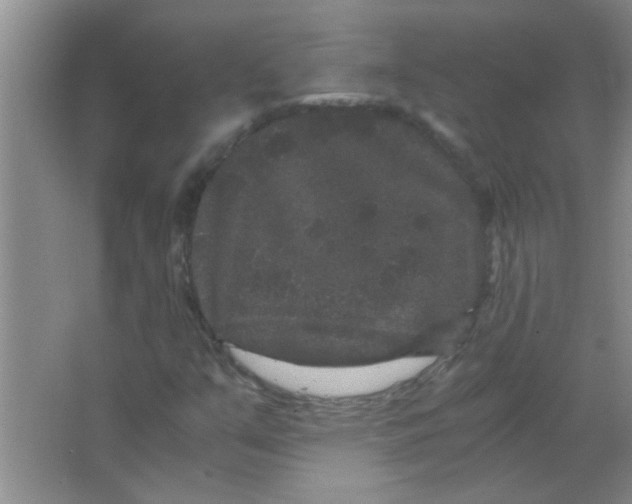 X0000063501351200602101848