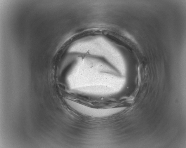 X0000063501352200602101848