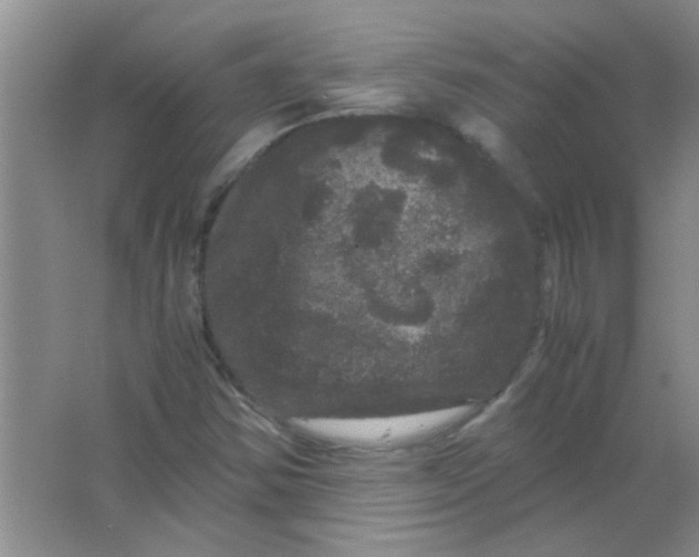 X0000063501354200602101848