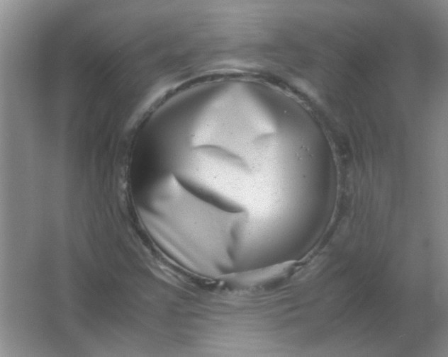 X0000063501355200602101848