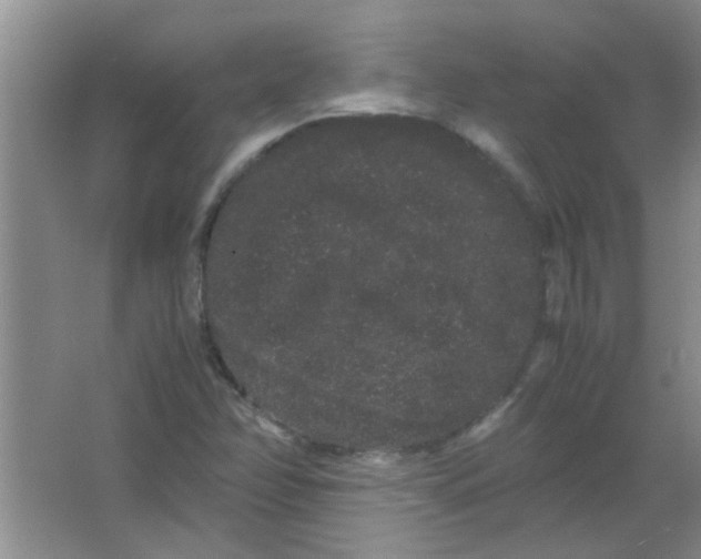 X0000063501358200602101848