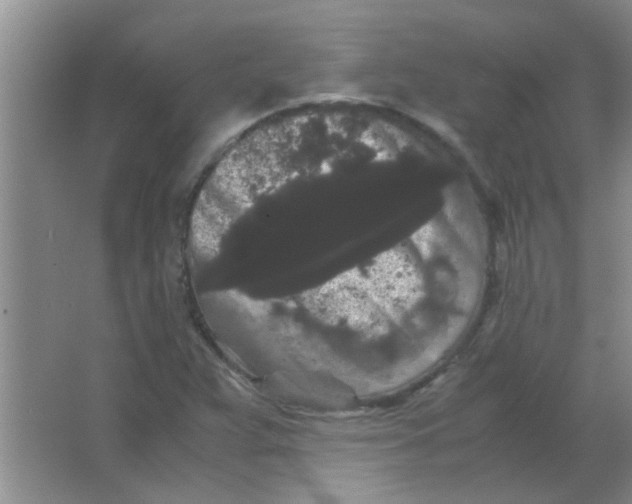 X0000063501359200602101848