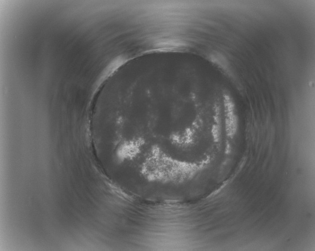 X0000063501362200602101848