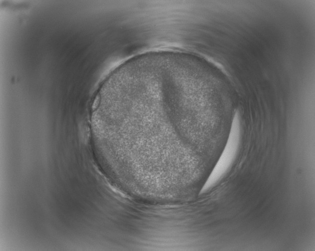 X0000063501363200602101848