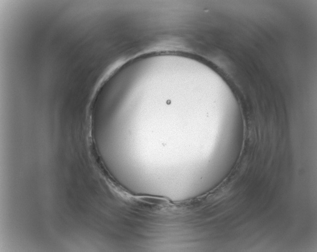 X0000063501366200602101848