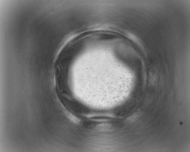 X0000063501368200602101848