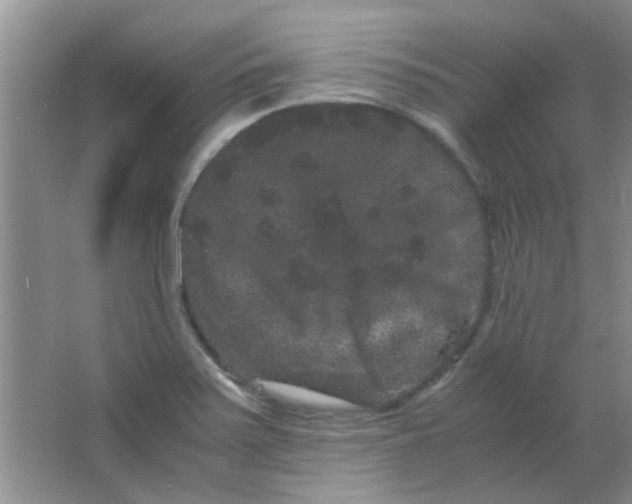 X0000063501371200602101848