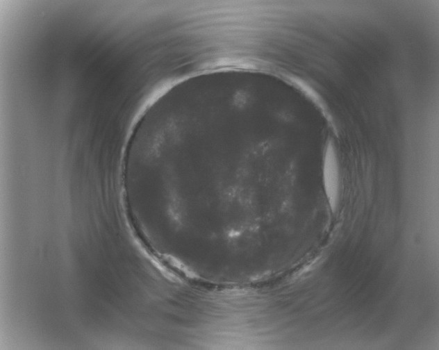 X0000063501373200602101848