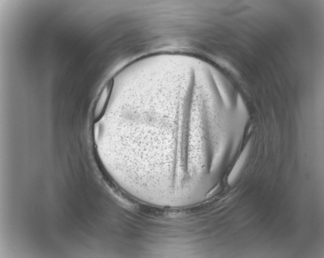 X0000063501375200602101848