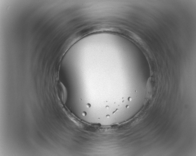 X0000063501377200602101848