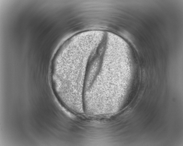 X0000063501379200602101848