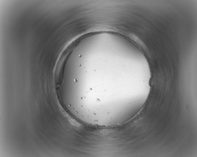 X0000063501380200602101848