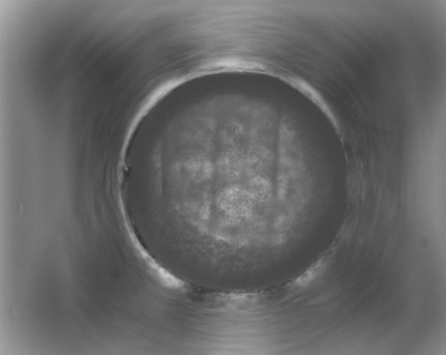 X0000063501381200602101848