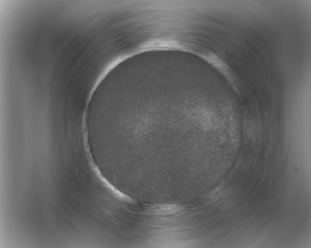 X0000063501382200602101848