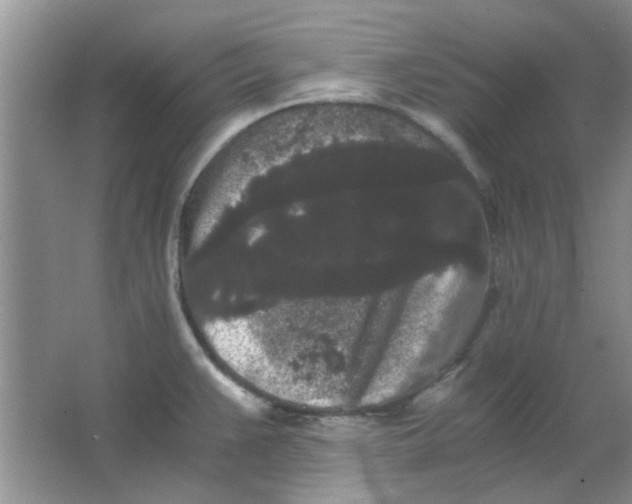 X0000063501383200602101848