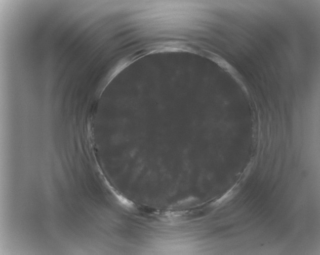 X0000063501385200602101848