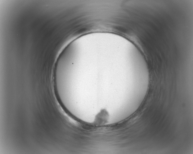 X0000063501387200602101848