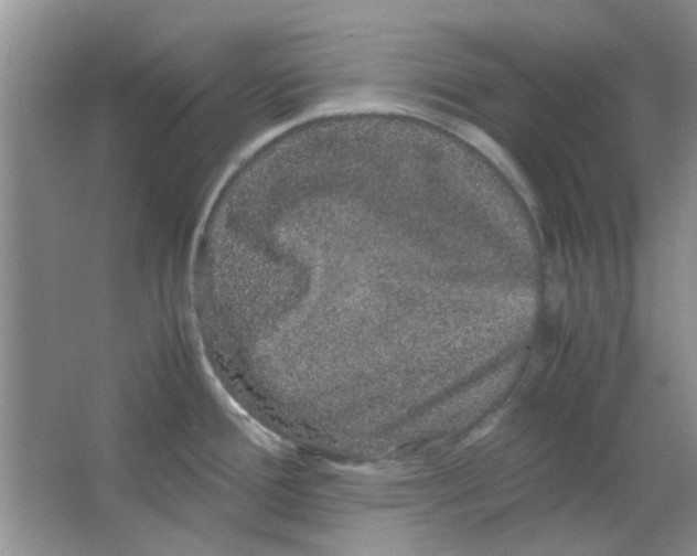 X0000063501388200602101848