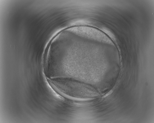 X0000063501392200602101848