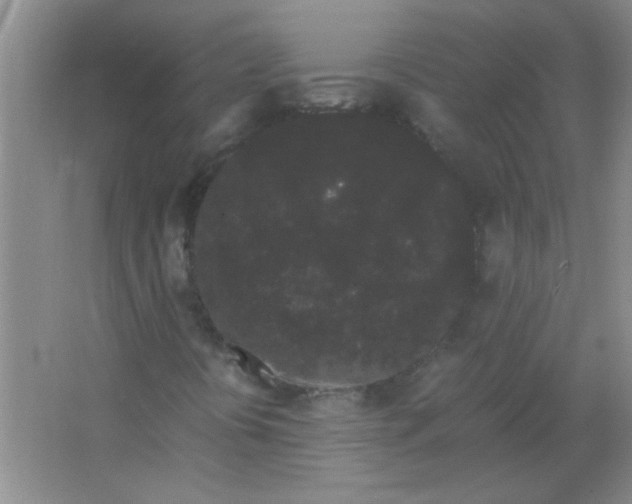 X0000063501394200602101847