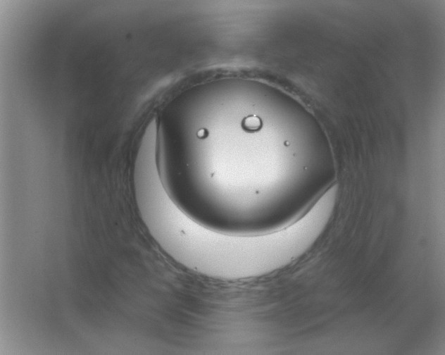 X0000063501398200602101847