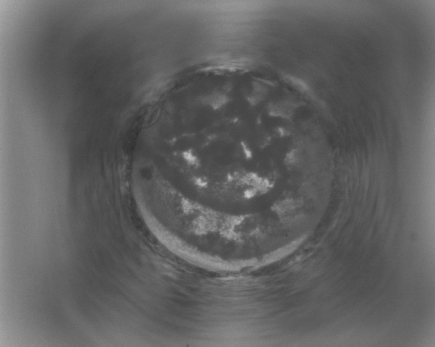 X0000063501399200602101847