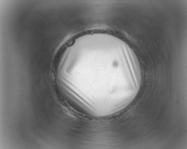 X0000063501400200602101847