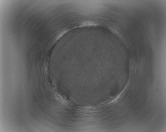 X0000063501401200602101847